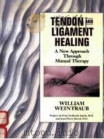 Tendon and Ligament Healing: A New Approach Through Manual Therapy   1999  PDF电子版封面  9781556432835;1556432836  William Weintraub 