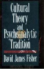 Cultural theory and psychoanalytic tradition   1991  PDF电子版封面  0887383874  David James Fisher 