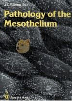 PATHOLOGY OF THE MESOTHELIUM（1987 PDF版）