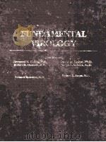 Fundamental virology   1986  PDF电子版封面  0881672114  Knipe;David M.;(David Mahan); 