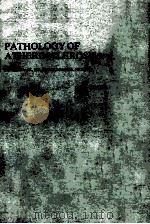 Pathology of atherosclerosis（1982 PDF版）