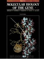 MOLECULAR  BIOLOGY OF THE GENE  VOLUME 1  FOURTH EDITION（1987 PDF版）