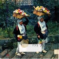 日本の旅  京都/奈良     PDF电子版封面    教育図書出版編 
