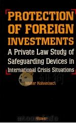 PROTECTION OF FOREIGN INVESTMENTS A PRIVATE LAW STUDY OF SAFEGUARDING DEVICES IN INTERNATIONAL CRISI（1989 PDF版）