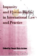 Impunity and human rights in international law and practice   1995  PDF电子版封面  0195081366  edited by Naomi Roht-Arriaza 