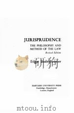 Jurisprudence   1978  PDF电子版封面  0674490010  Edgar Bodenheimer. 