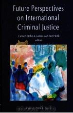 Future Perspectives on International Criminal Justice（ PDF版）