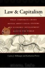 Law and Capitalism     PDF电子版封面  9780226525280;0226525287  Curtis J. Milhaupt 