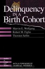 Delinquency in a Birth Cohort   1987  PDF电子版封面  9780226905587;0226905586   