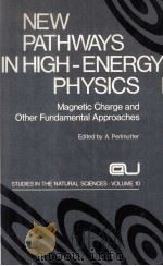 NEW PATHWAYS IN HIGH-ENERGY PHYSICS I  MAGNETIC CHARGE AND OTHER FUNDAMENTAL APPROACHES   1976  PDF电子版封面  0306369109  ARNOLD PERLMUTTER 