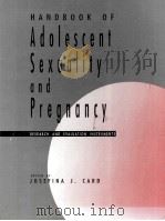 Handbook of adolescent sexuality and pregnancy research and evaluation instruments   1993  PDF电子版封面  0803945957  Josefina J. Card 