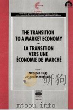 The Transition to a market economy volume I（1991 PDF版）