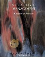 Strategic management concepts and practices（1994 PDF版）