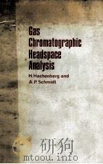 Gas chromatographic headspace analysis   1977  PDF电子版封面  0855012056  Hachenberg;Horst.;Schmidt;Adol 