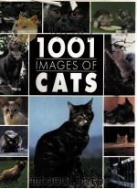 1001 IMAGES OF CATS   1992  PDF电子版封面  1855012871  PHILIPPE COPPE 