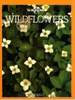 THE WORLD OF NATURE  WILDFLOWERS   1990  PDF电子版封面  0831795808  TERRI L.HARDIN 