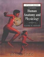STUDY GUIDE TO ACCOMPANY HUMAN ANATOMY AND PHYSIOLOGY  THIRD EDITION   1995  PDF电子版封面  0805342834  ELAINE N.MARIEB  MARIE FITZGER 