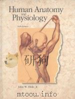 HUMAN ANATOMY AND PHYSIOLOGY  FIFTH EDITION   1990  PDF电子版封面  0697057798  JOHN W.HOLE 