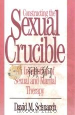 Constructing the sexual crucible : an integration of sexual and marital therapy   1991  PDF电子版封面  0393701026   