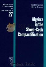 Algebra in the Stone-cech compactification theory and applications（1998 PDF版）