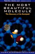 The most beautiful molecule the discovery of the buckyball   1995  PDF电子版封面  047119333X  Hugh Adersey-Williams 