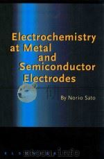 Electrochemistry at Metal and Semiconductor Electrodes（1998 PDF版）