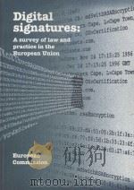 Digital Signatures:A Survey of Law and Practice in the European Union   1999  PDF电子版封面  9781855734692;1855734699   