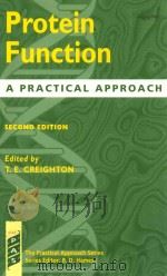 Protein function a practical approach   1997  PDF电子版封面  019963615X  edited by T.E. Creighton 