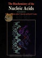The biochemistry of the nucleic acids tenth edition   1986  PDF电子版封面  0412272806   