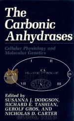 The Carbonic anhydrases cellular physiology and molecular genetics   1991  PDF电子版封面  0306436361  susanna j.dodgson and richard 