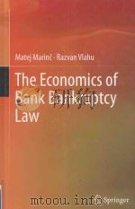 the economics of bank bankruptcy law     PDF电子版封面  9783642218064   