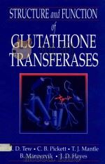 Structure and function of glutathione transferases   1993  PDF电子版封面  0849345820  Tew;Kenneth D. 