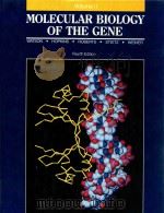Molecular biology of the gene volume II specialized aspects fourth edition（1987 PDF版）