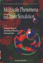 PROCEEDINGS OF THE INTERNATIONAL CONFERENCE MULTISCALE PHENOMENA AND THEIRY SIMULATION（1997 PDF版）