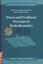 Waves and nonlinear processes in hydrodynamics（1996 PDF版）