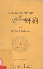 MOLECULAR NATURE OF AERODYNAMICS   1981  PDF电子版封面    GORDON N.PATTERSON 