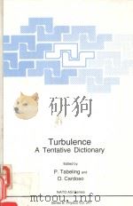 TURBULENCE A TENTATIVE DICTIONARY   1994  PDF电子版封面  0306449986  P.TABELING AND O.CARDOSO 