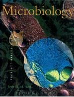 microbiology fourth edition   1999  PDF电子版封面  0697354393  lansing m.precott and john p.h 