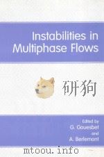 Instabilities in multiphase flows   1993  PDF电子版封面  0306444984  Gouesbet;Gérard.;Berlemont;A.; 