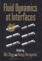 Fluid Dynamics at Interfaces（1999 PDF版）