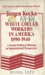 WHITE COLLAR WORKERS IN AMERICA 1890-1940  A SOCIAL-POLITICAL HISTORY IN INTERNATIONAL PERSPECTIVE（1980 PDF版）