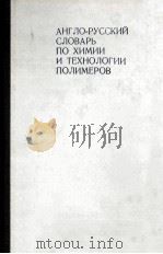 ENGLISH-RUSSIAN DICTIONARY OF CHEMISTRY AND TECHNOLOGY OF POLYMERS ABOUT 30000 TERMS   1977  PDF电子版封面     