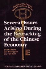 several issues arising during the retracking of the chinese economy   1997  PDF电子版封面  7119019767  迟福林 