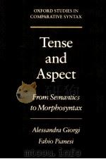 TENSE AND ASPECT:FROM SEMANTICS TO MORPHOSYNTAX     PDF电子版封面    ALESSANDRA GIORGI  FABIO PIANE 