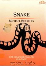 Snake for solo cor anglais(or oboe)（1994 PDF版）