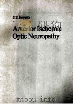 ANTERIOR ISCHEMIC OPTIC NEUROPATHY   1975  PDF电子版封面  354006916X  S.S.HAYREH 
