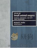 ATLAS OF SMALL ANIMAL SURGERY SECOND EDITION   1977  PDF电子版封面  0801622212  RICHARD E.HOFFER 