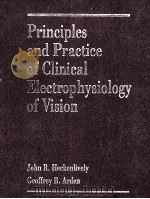 PRINCILES AND PRACTICE OF CLINICAL ELECTROPHYSIOLOGY OF VIAION   1991  PDF电子版封面  0815142900  JOHN R.HECKENLIVELY GEOFFREY B 
