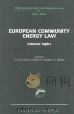 EUROPEAN COMMUNITY ENERGY ENERGY LAW  SELEETED TOPIES（1994 PDF版）