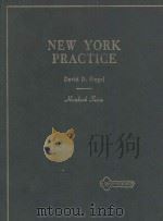 HANDBOOK ON NEW YORK PRACTICE（1978 PDF版）